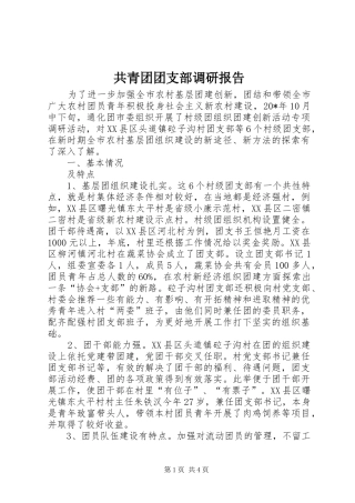 共青团团支部调研报告