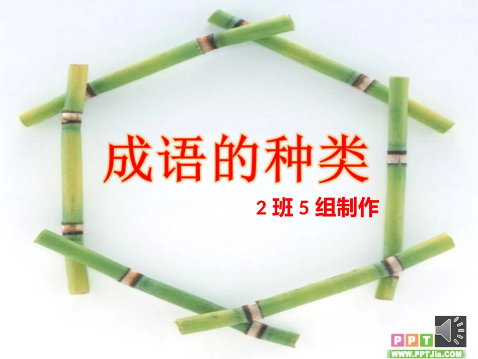 班组《成语的种类》_第1页