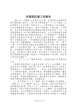 共青团区委工作报告