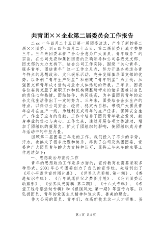 共青团××企业第二届委员会工作报告
