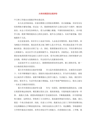 大学共青团员自我评价 