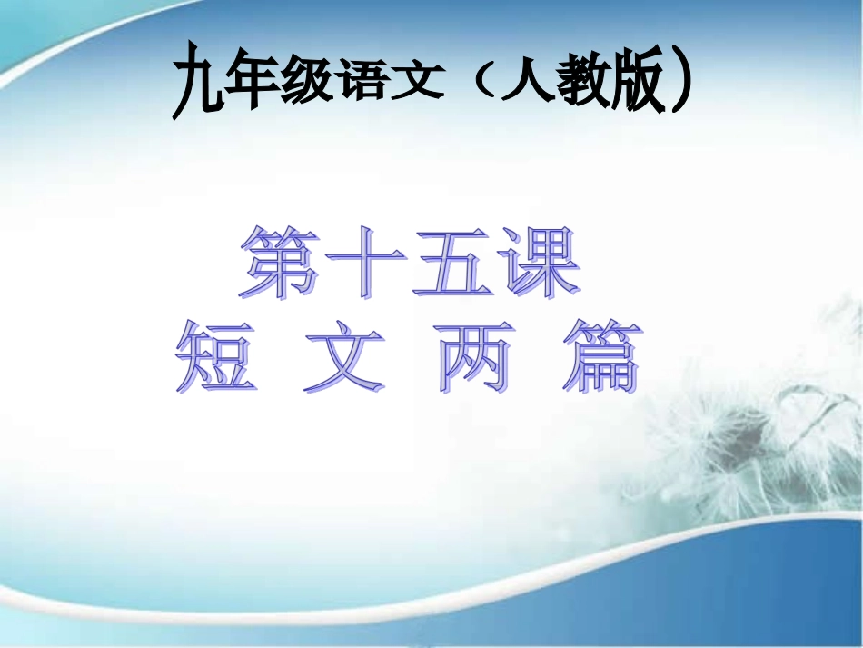 短文两篇 ()_第1页