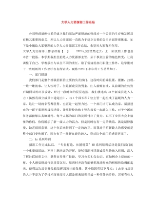 大学人力资源部工作总结 