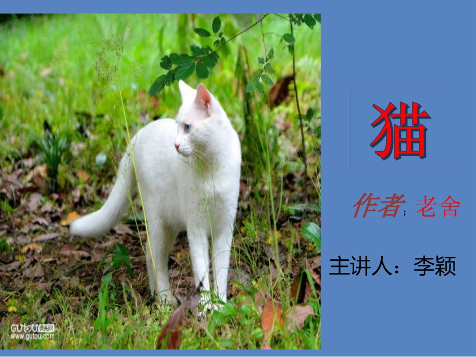 《猫》老舍-15015125-李颖1_第1页
