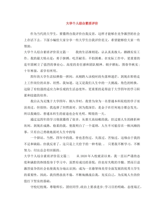 大学个人综合素质评价 