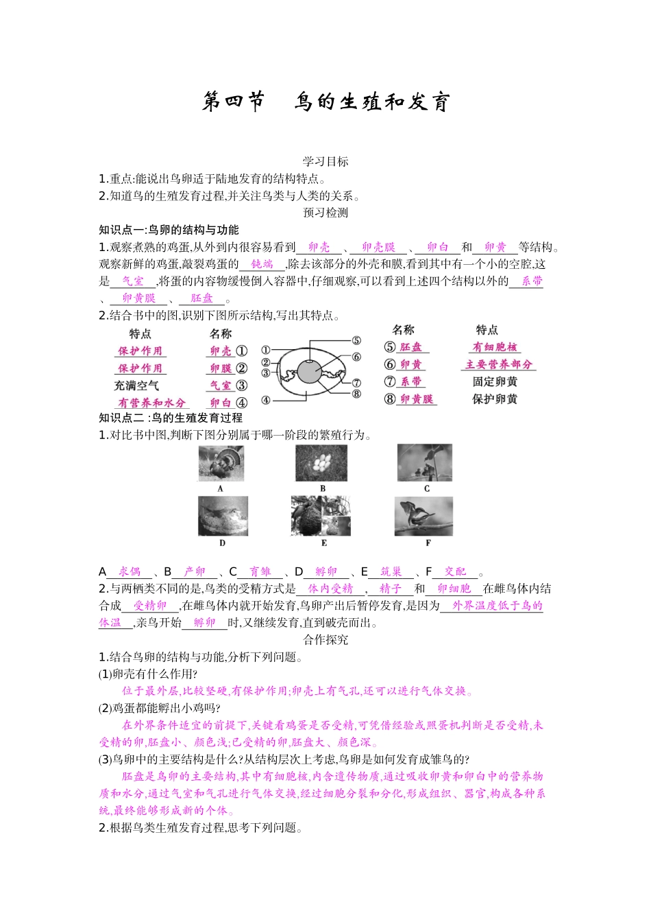 八年级下14《鸟的生殖和发育》导学案_第1页