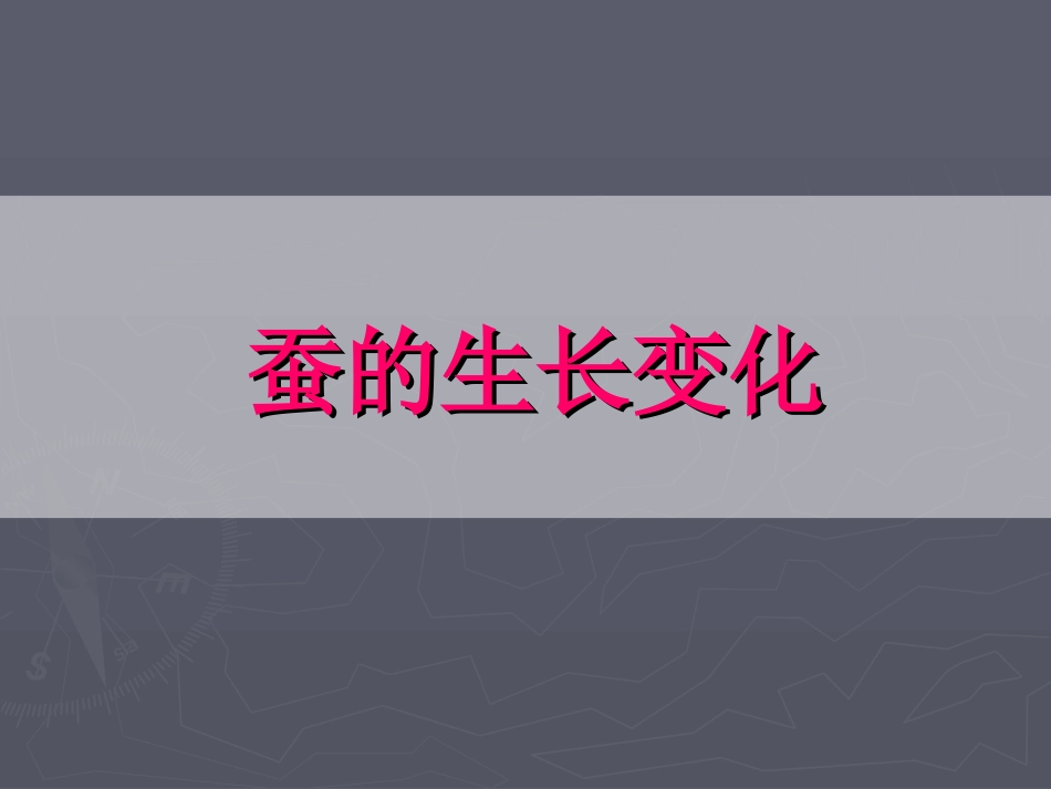 蚕的生长变化PPT三下_第1页