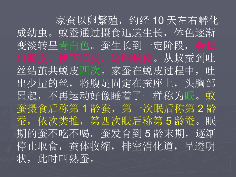蚕的生长变化PPT三下_第3页