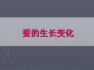 蚕的生长变化PPT三下