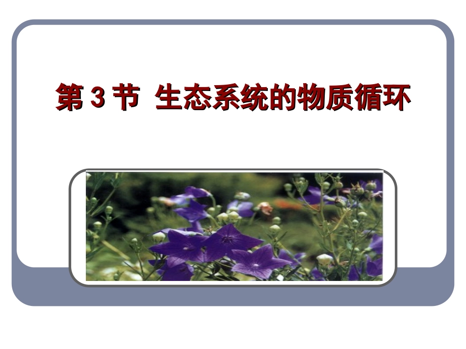 物质循环课件_第1页