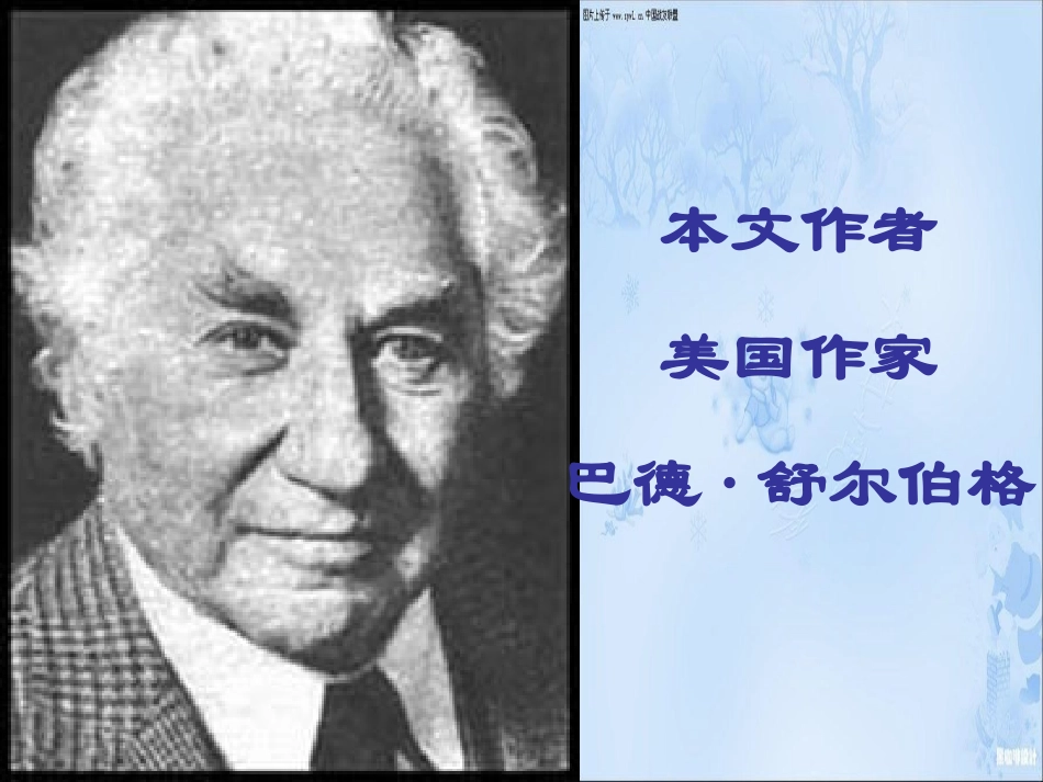 《精彩极了和糟糕透了》终极第一课时_第2页