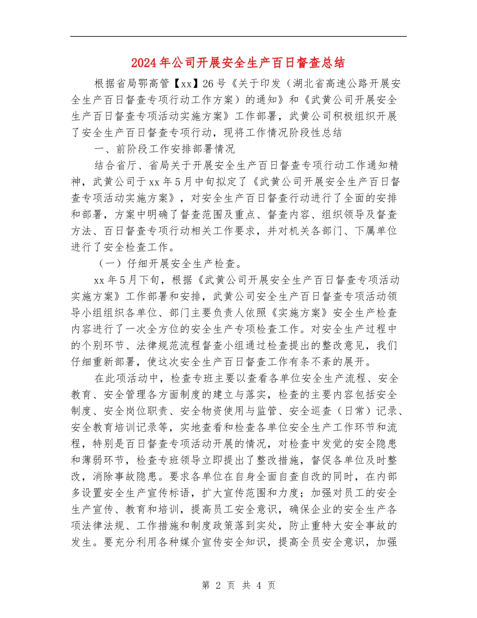 2024年公司开展安全生产百日督查总结_第2页