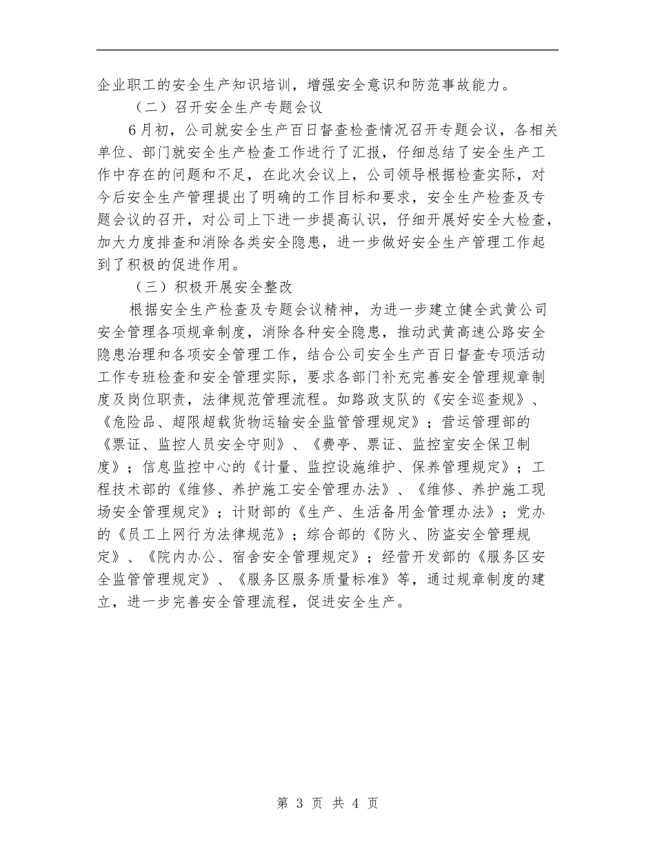 2024年公司开展安全生产百日督查总结_第3页