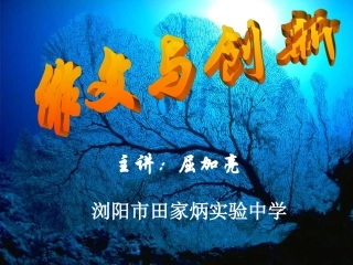 作文与创新（校本屈）