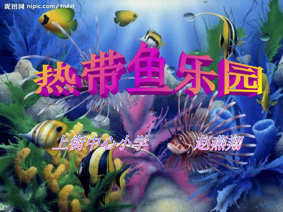 热带鱼乐园[1]_第1页