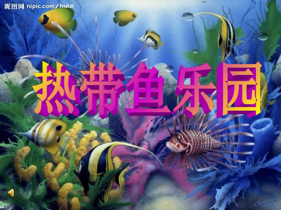 热带鱼乐园[1]_第2页