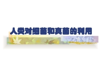 《人类对细菌和真菌的利用》课件4