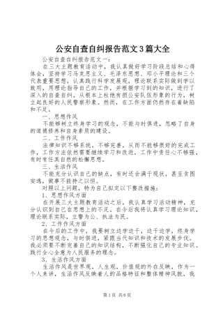 公安自查自纠报告范文3篇大全