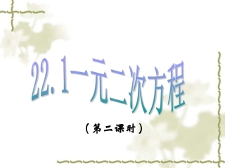 一元二次方程（）