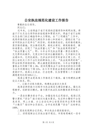 公安执法规范化建设工作报告