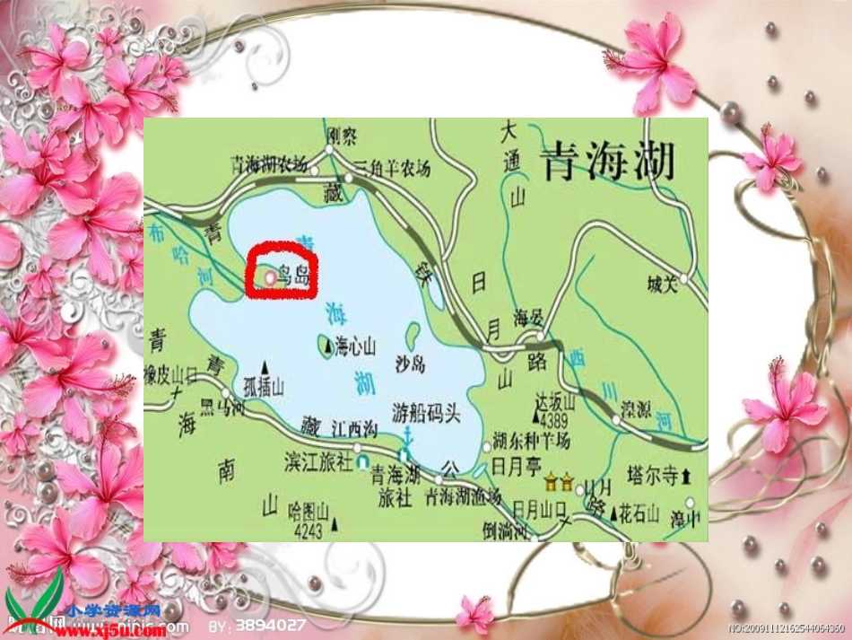 二年级语文下册《鸟岛》_第3页