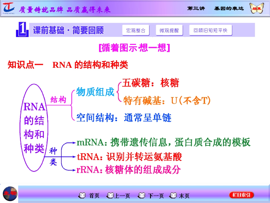第三讲基因的表达_第2页