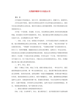 大四新学期学习计划怎么写 