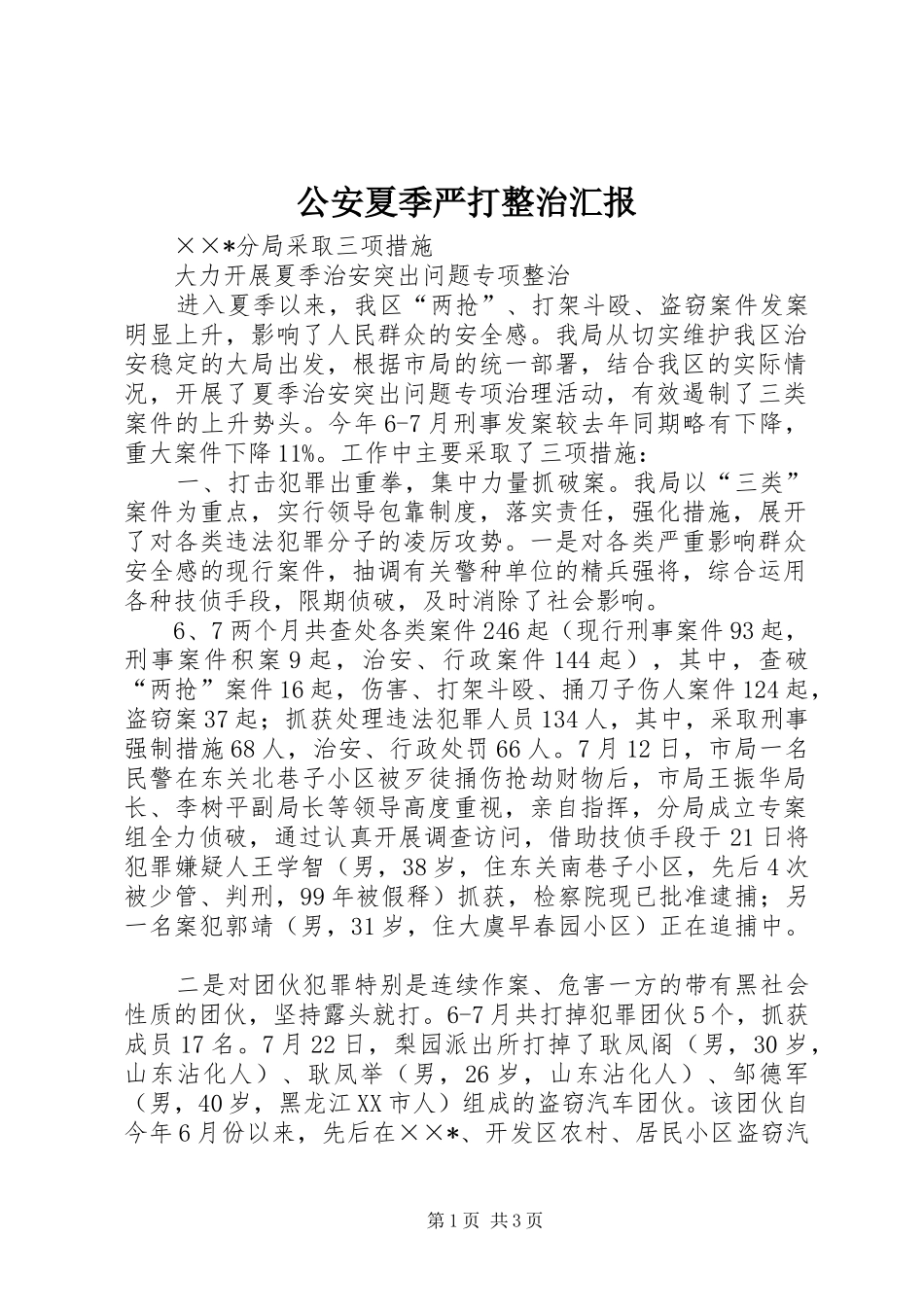 公安夏季严打整治汇报_第1页