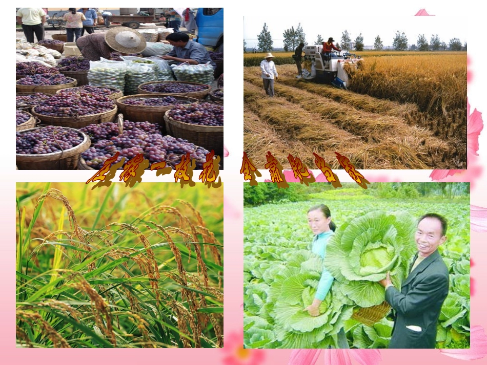 第十一单元课题2化学肥料_第2页