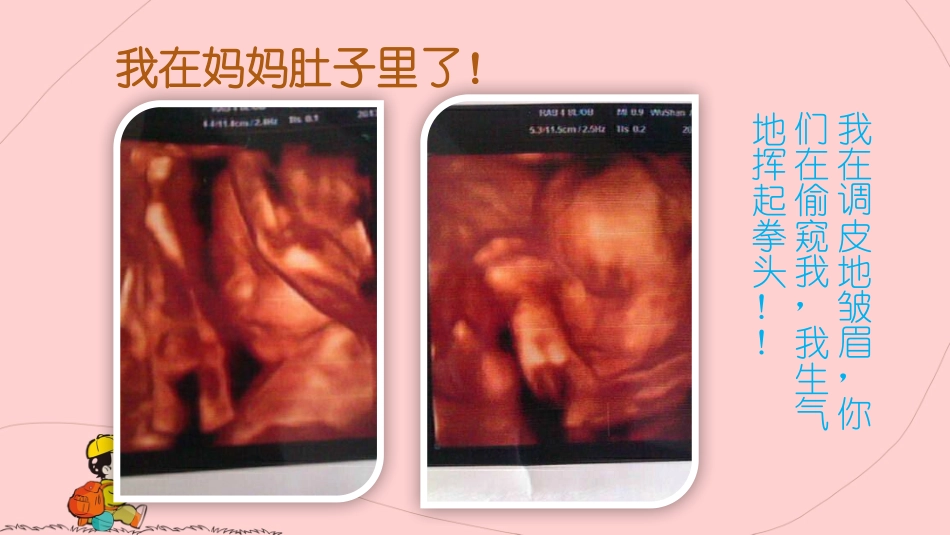 快乐宝贝PPT_第3页