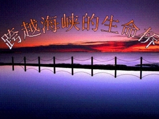 跨越海峡的生命桥