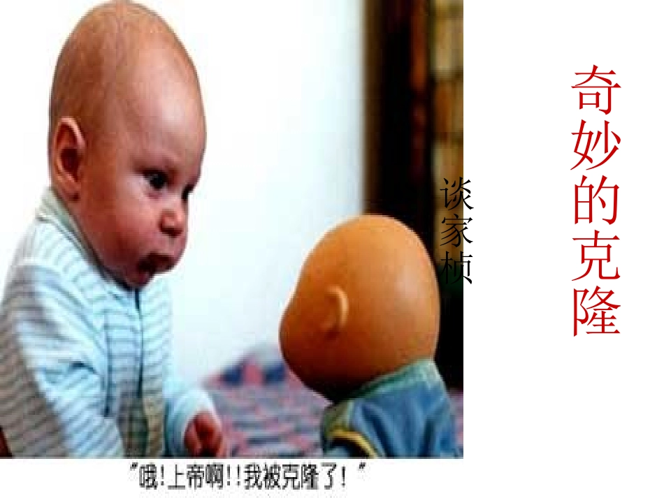奇妙的克隆（课件2）_第1页