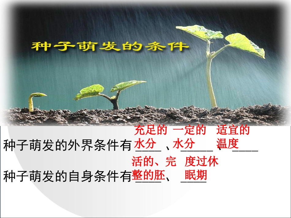 《被子植物的一生》参考课件_第3页