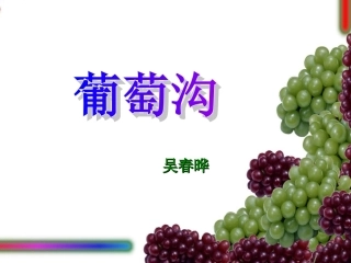 葡萄沟 (3)