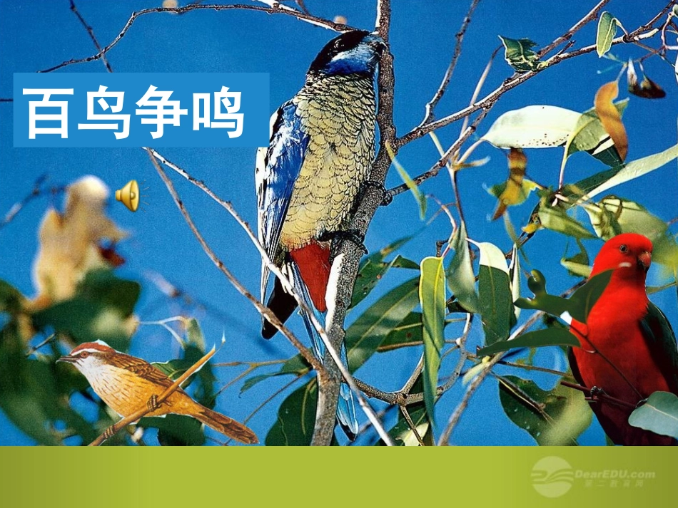 鸟的天堂课件_第2页