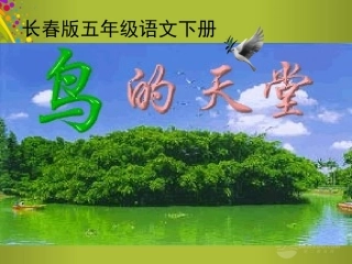 鸟的天堂课件