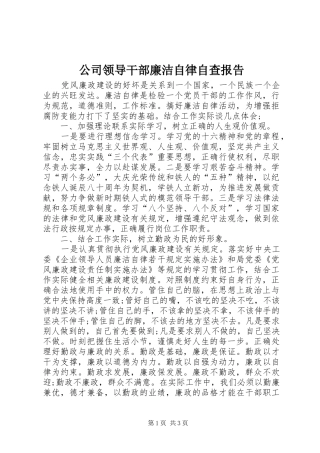 公司领导干部廉洁自律自查报告