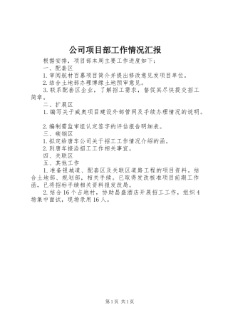公司项目部工作情况汇报