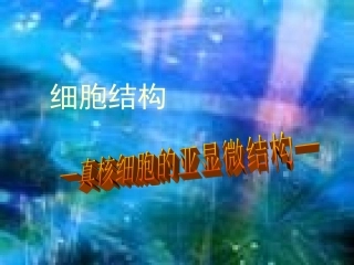 细胞结构-真核细胞的亚显微结构