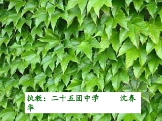 那片绿绿的爬山虎[1]