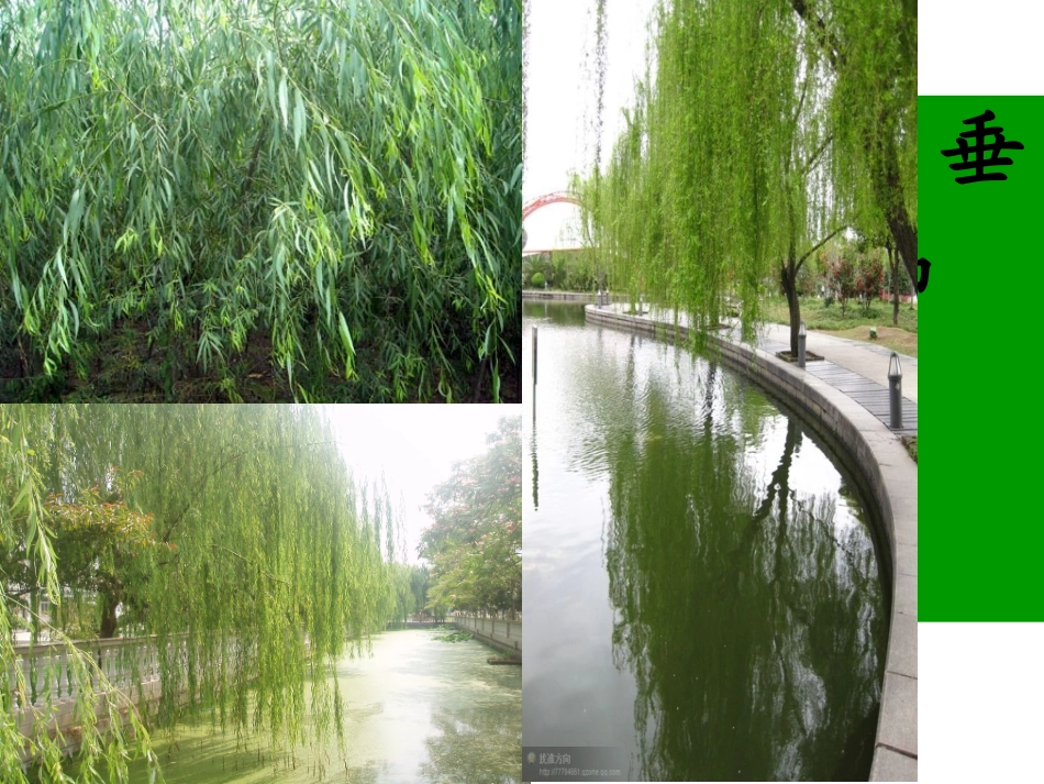 古诗两首课件_第2页