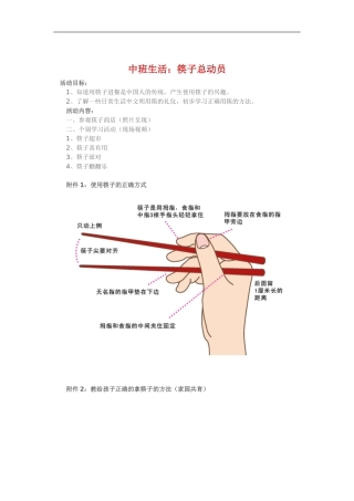 中班生活《筷子总动员》