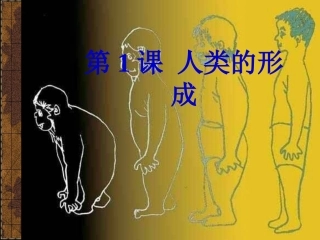 第1课《人类的形成》