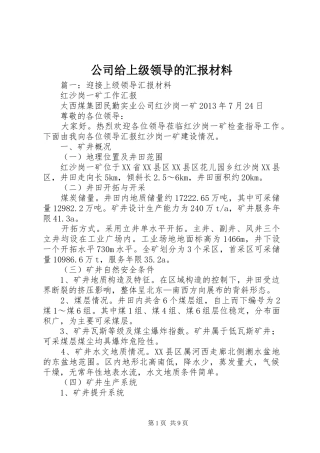 公司给上级领导的汇报材料