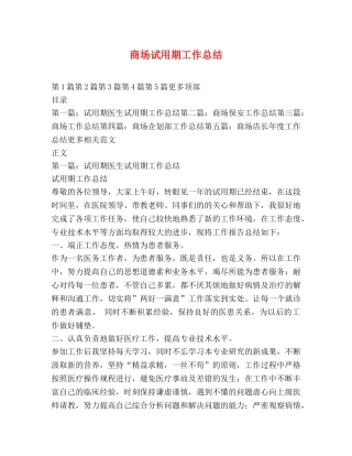 商场试用期工作总结 