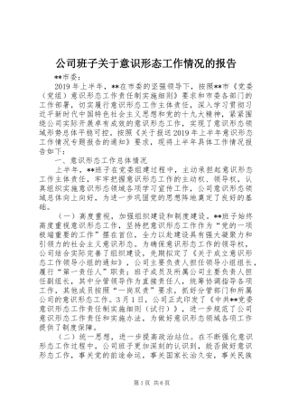 公司班子关于意识形态工作情况的报告