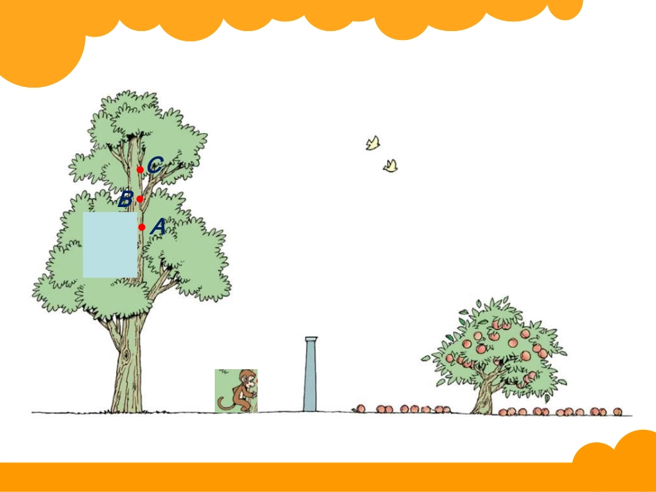 公开课--观察的范围_第3页
