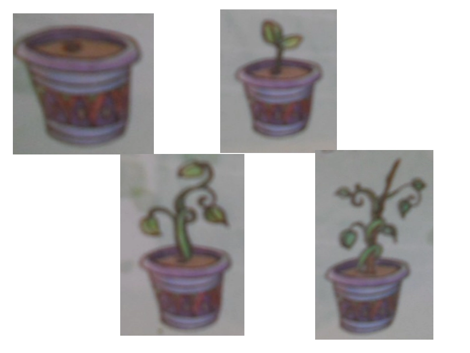 中班排排顺序1_第3页