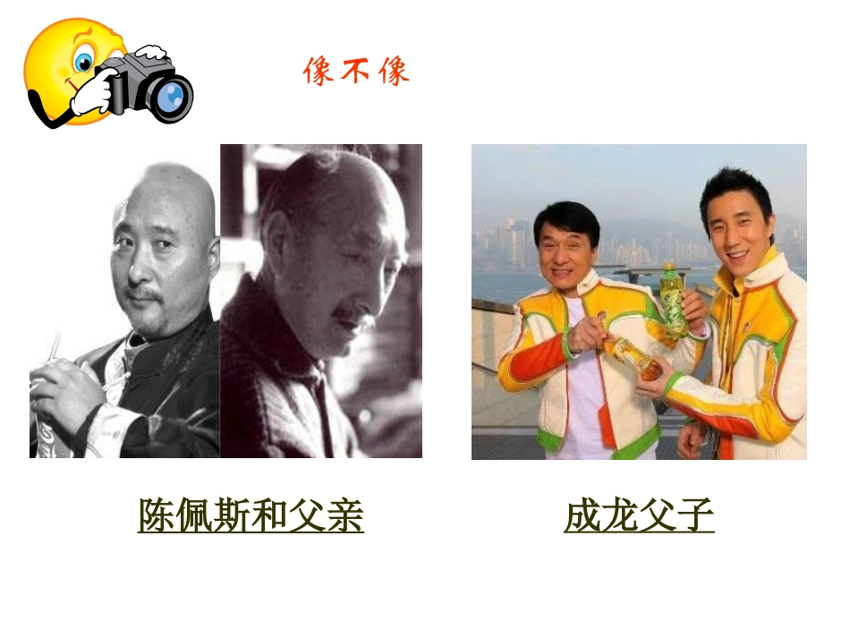 2016年第七单元第二章第一节基因控制生物的性状（共38张PPT）_第3页