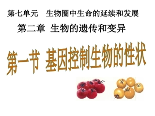 2016年第七单元第二章第一节基因控制生物的性状（共38张PPT）